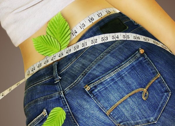 Venus Factor plant-based formula for fat burning and energy support